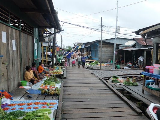 Outlet JNE ASMAT di Kab. Asmat