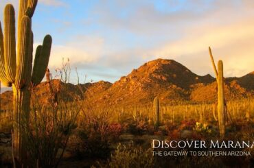 Discover Marana Visitor Center (0) in Marana AZ