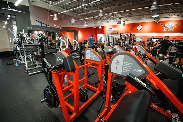 The 15 Best Elite Gyms in Orlando FL | Paketmu Business Review