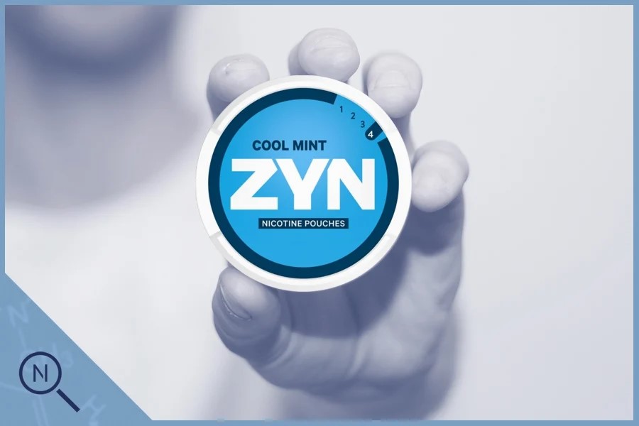 Zyn Rewards List: What Are the Benefits? | Paketmu Business Review