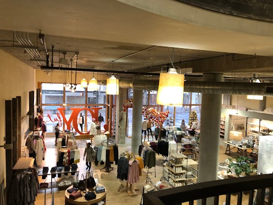 Anthropologie