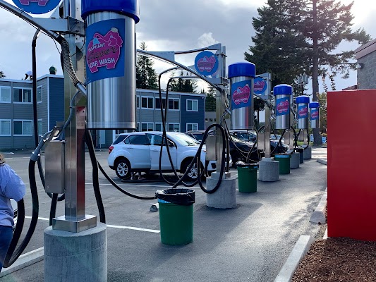 Elephant Car Wash