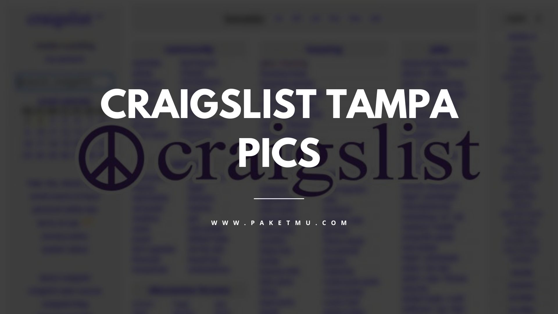 Best Pictures on Craigslist Tampa [2023] Paketmu Business Review