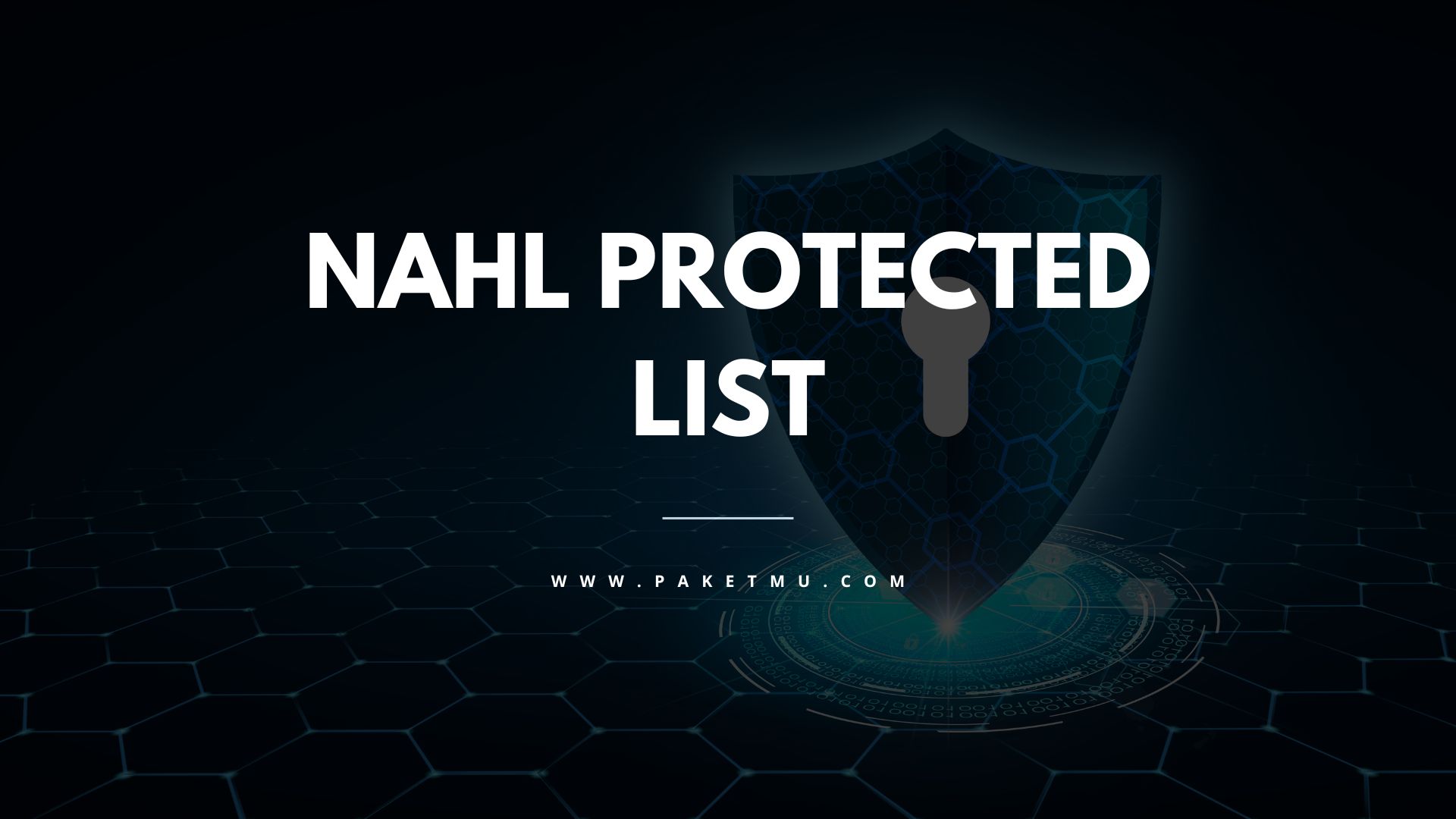 NHL Protected List Benefits of Being on the List Paketmu Business Review