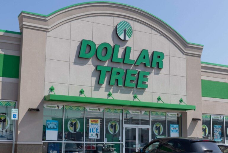 Dollar Tree: Where Affordable Shopping Meets Variety | Cek Resi ...