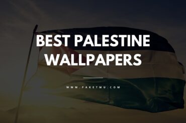 Cover Wallpaper Palestine Terbaik