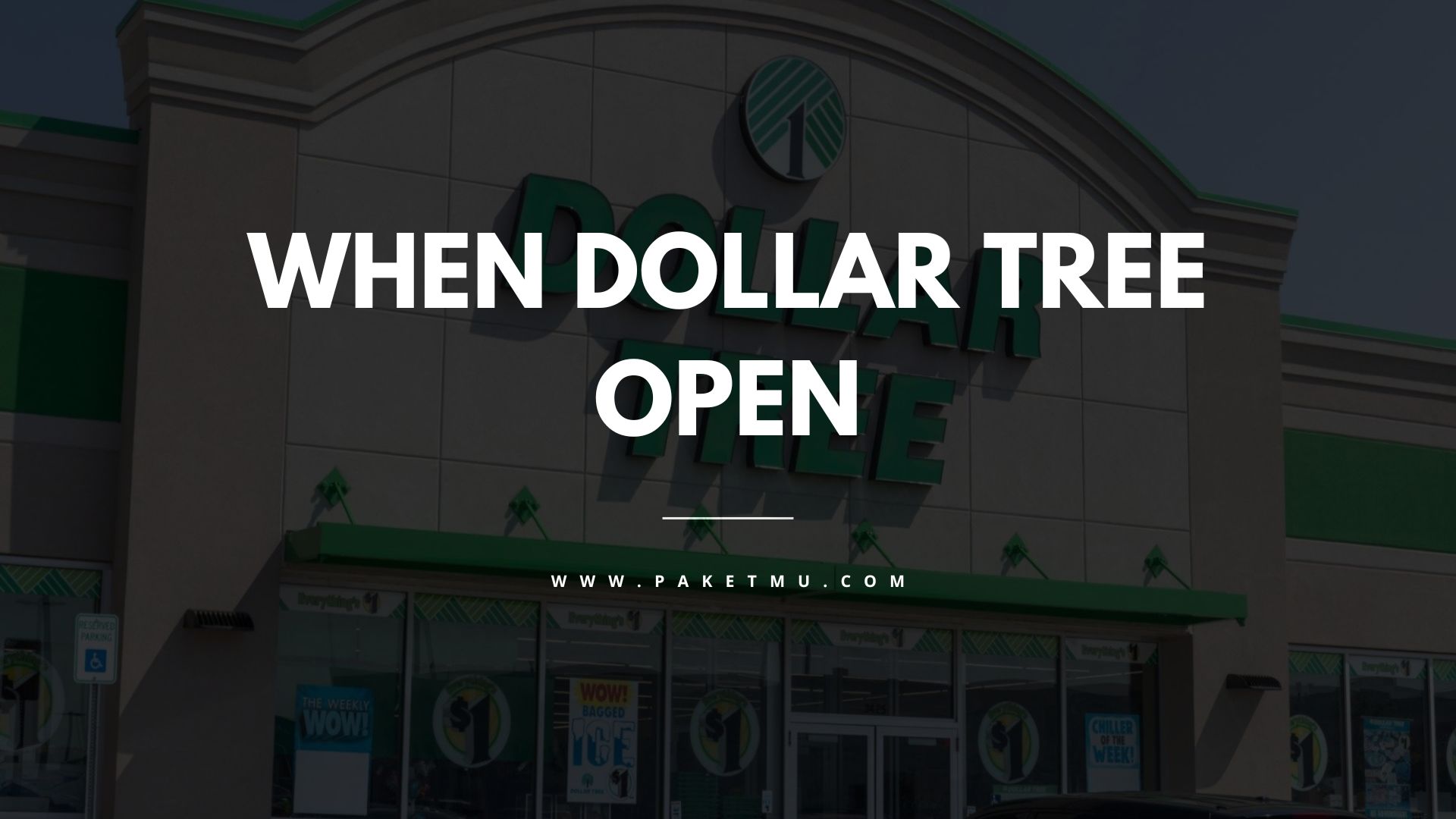 Dollar Tree Opening Times What's the Schedule? Paketmu Business Review