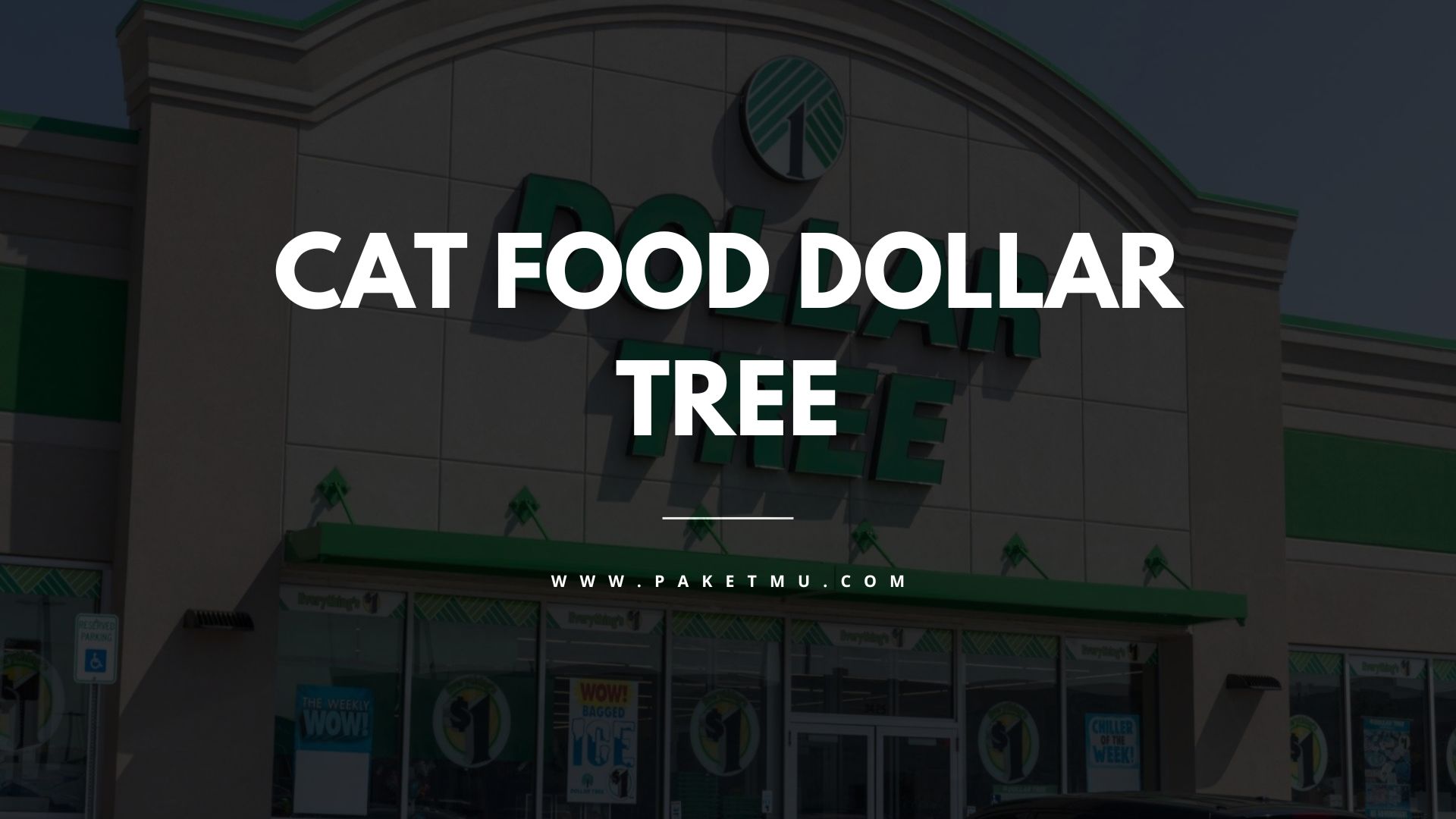 Cat Food at Dollar Tree A Bargain for Your Feline Friend Paketmu
