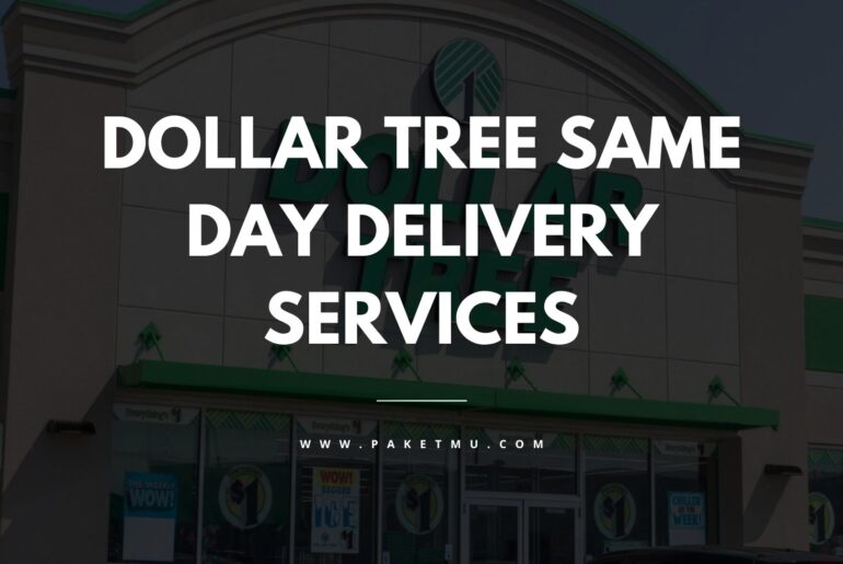 Cover Dollar Tree Same Day Delivery Services