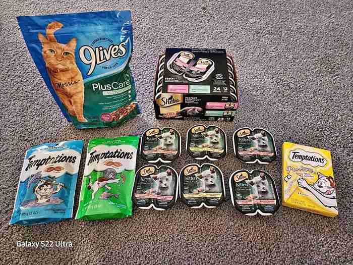 Cat Food Dollar Tree 3